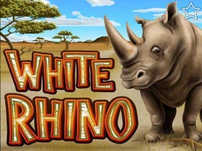 White Rhino