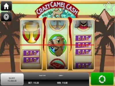 Crazy Camel Cash